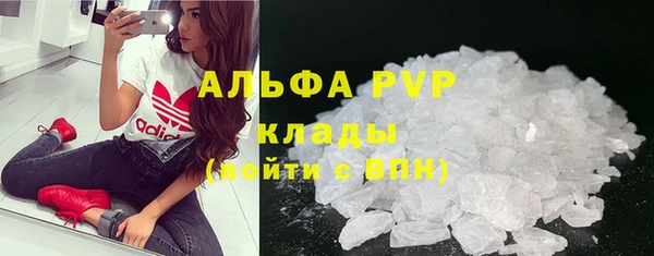стафф Богданович