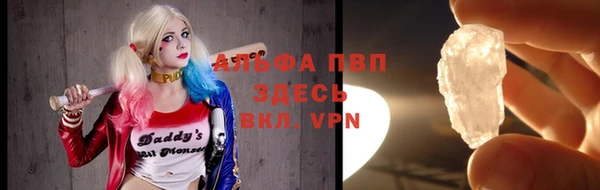 стафф Богданович