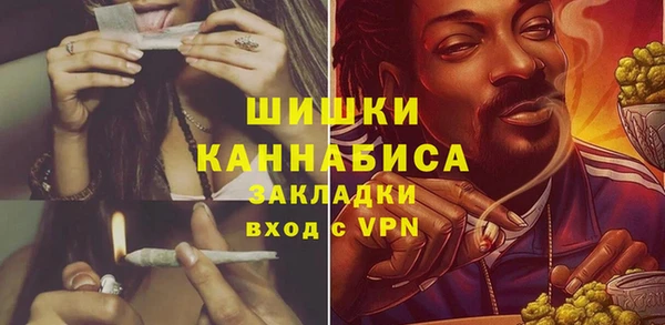стафф Богданович