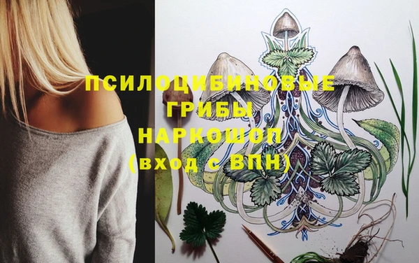 ALPHA-PVP Богородицк