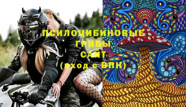 ALPHA-PVP Богородицк