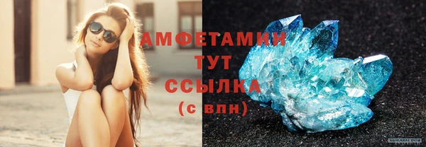 стафф Богданович