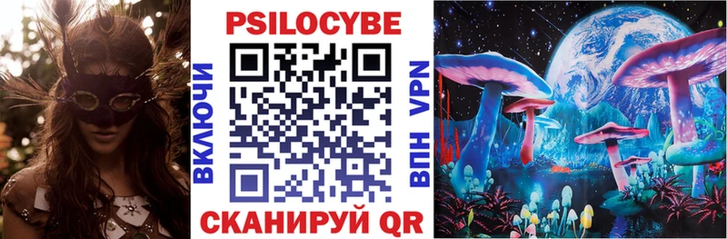 Галлюциногенные грибы Psilocybe  Тбилисская 