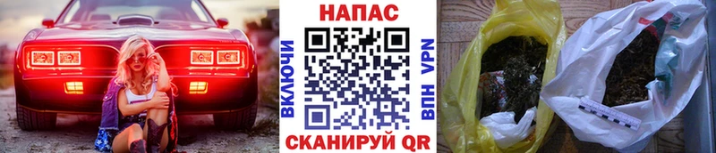 Бошки марихуана сатива Тбилисская